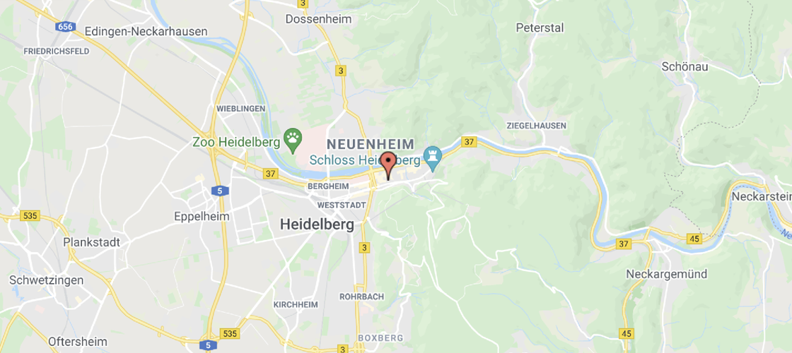 Google Maps
